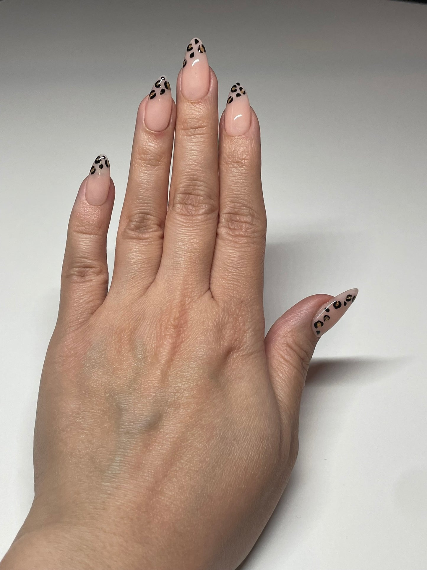 Leopard Lattice